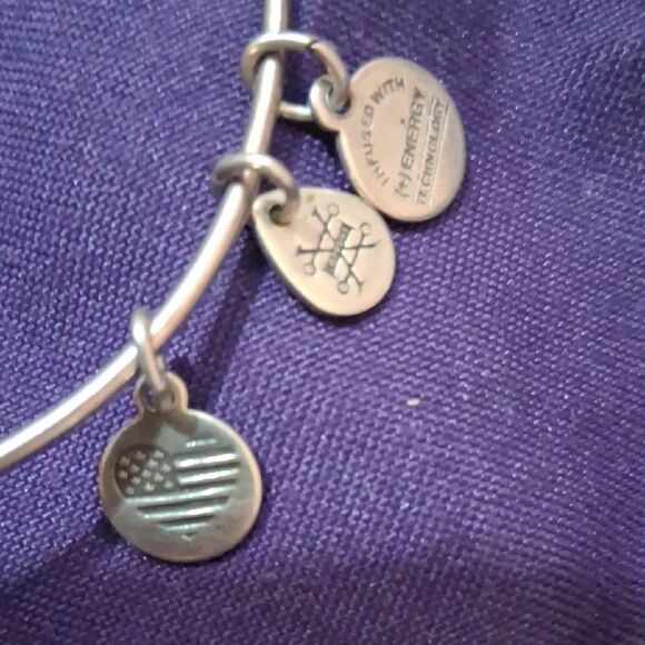 ALEX & ANI Silver Charm Hamsa Bangle Bracelet - Picture 3 of 4